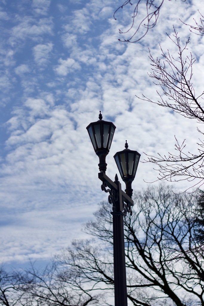 公園スナップ　２