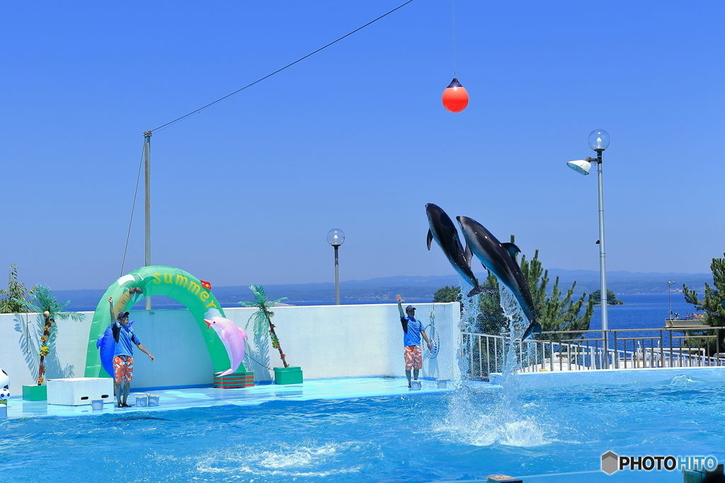 summer〜夏の風景