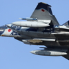久しぶりの、アグレッサー、、、かな？