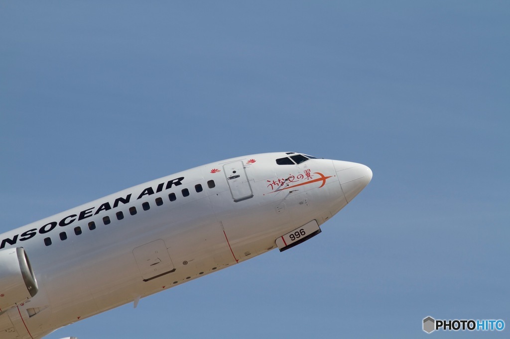 うちな♡の翼　３