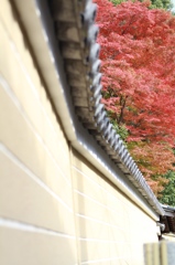 秋、京都１