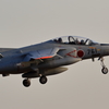 桜が二つ