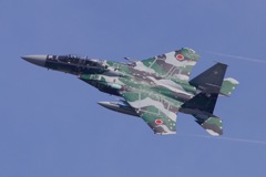 AGR   RW06