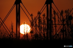 エンドからの夕日