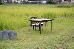 田園テーブル
