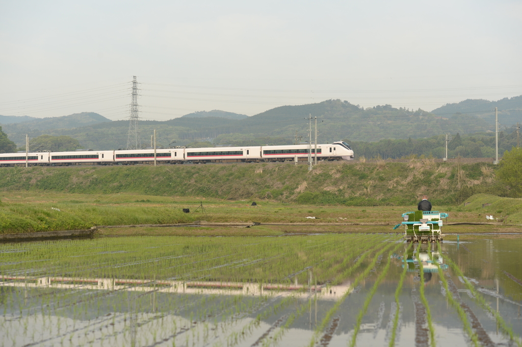 2020年、田植え風景