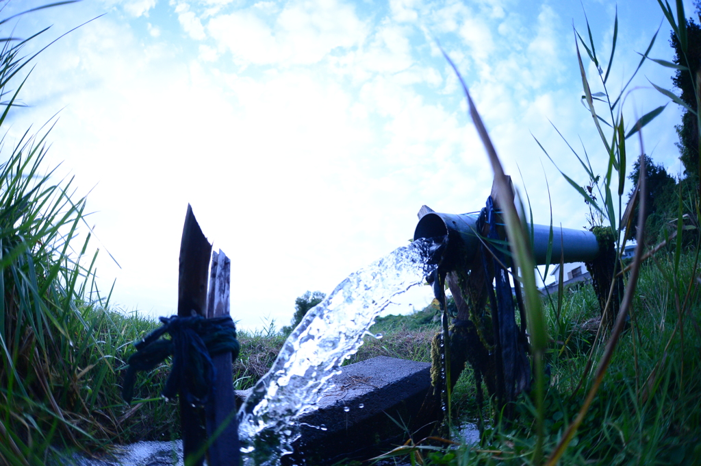田んぼの水