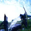 田んぼの水
