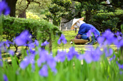 金沢　兼六園