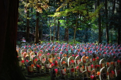 滋賀県　金剛輪寺