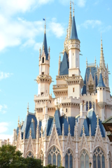 TDL　おなじみの