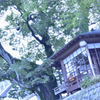 三重　おかげ横丁