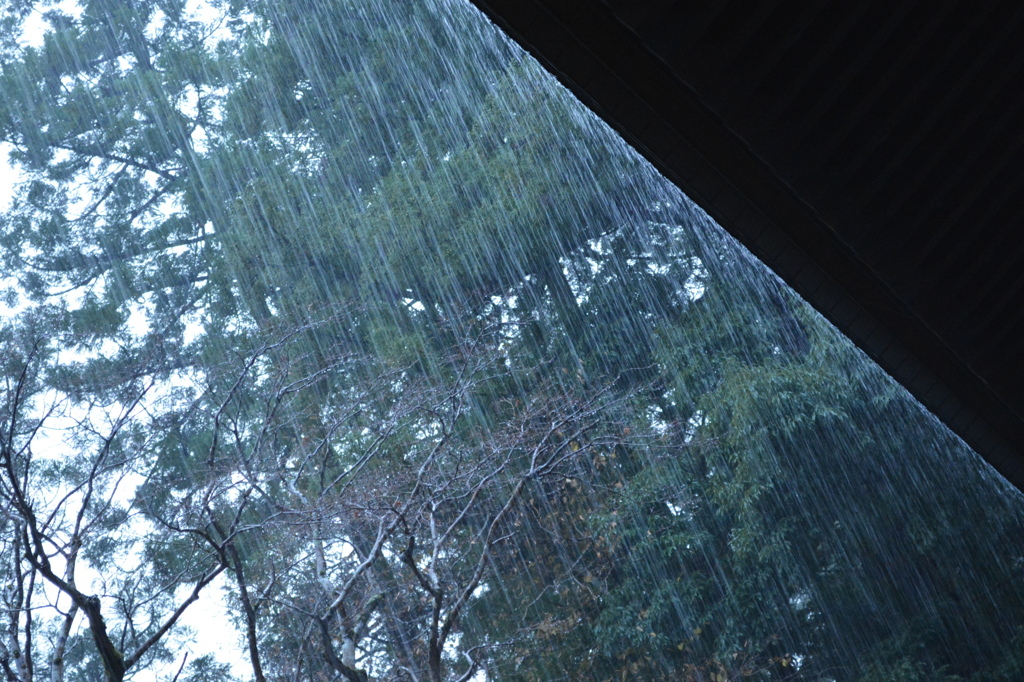 福井県　永平寺