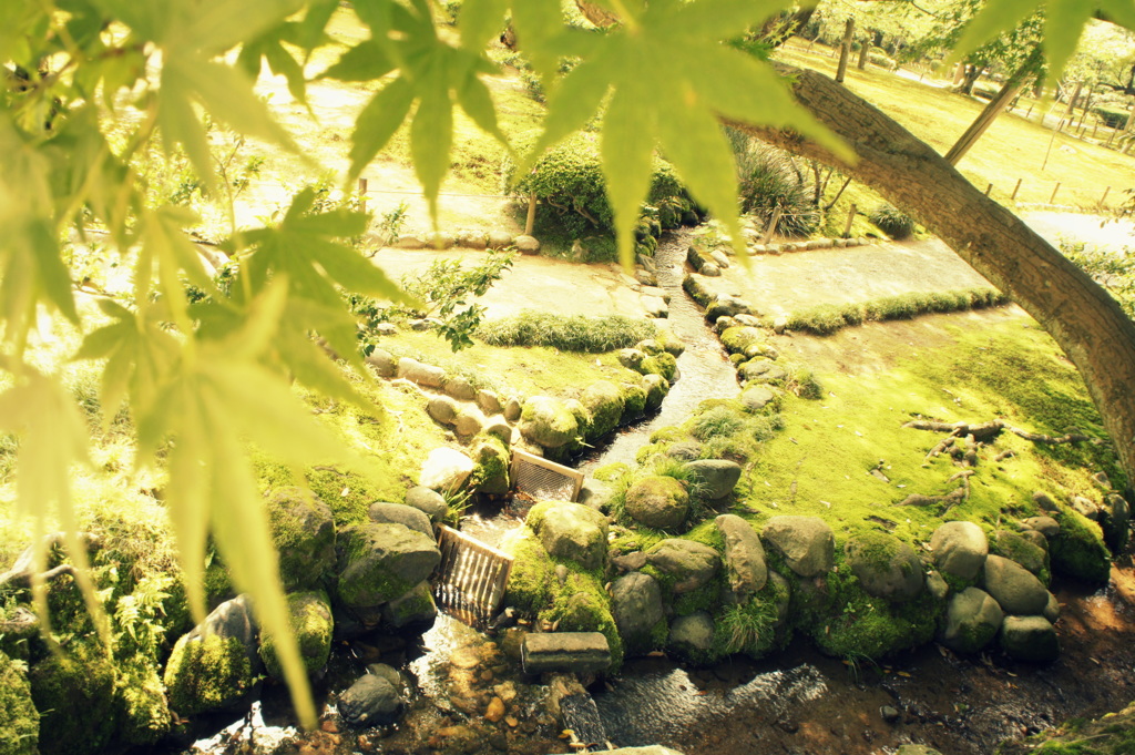 石川県　兼六園