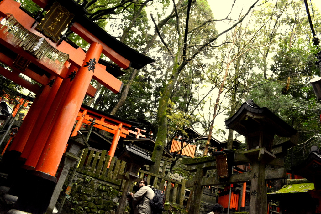 京都　伏見稲荷　あちらの世界