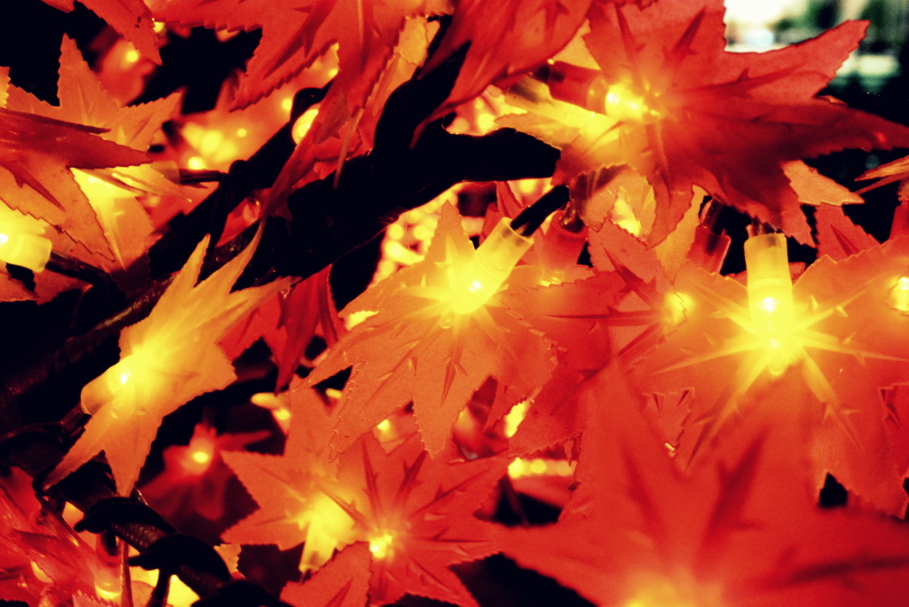 紅葉のイルミネーション