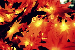 紅葉のイルミネーション