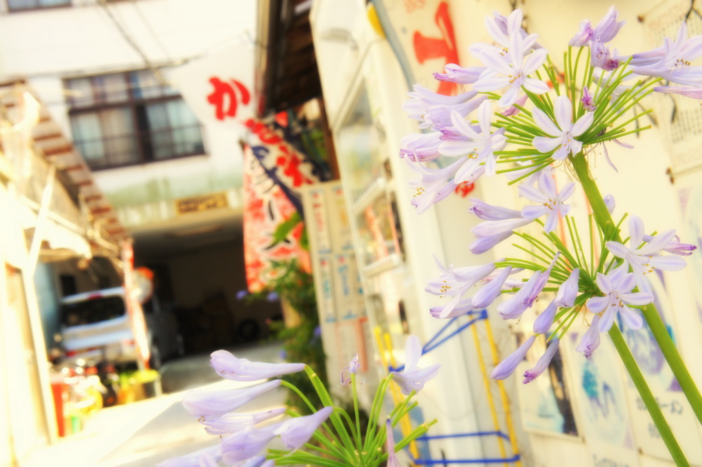 広島県　尾道