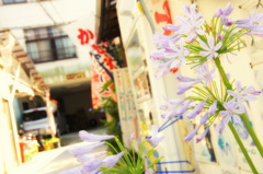 広島県　尾道