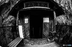 DSC00803-2
