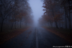 silent hill