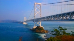 white bridge