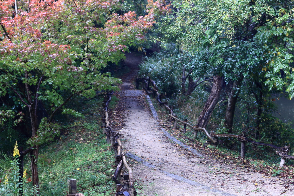 明石公園にて_その２