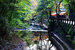 箕面国定公園にて　その１