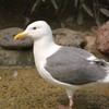 意外と浅かったね～・・・