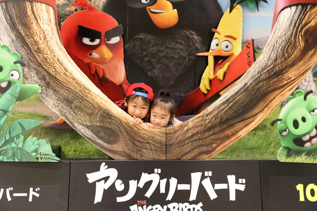 大きな木の下で