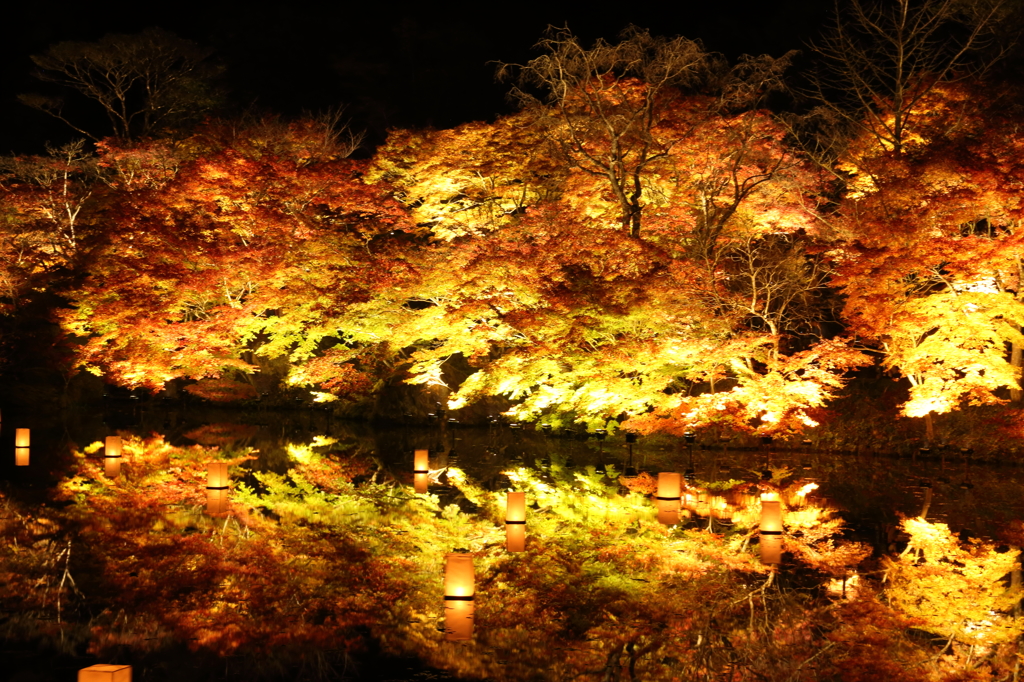 御船山楽園③