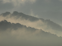 朝靄