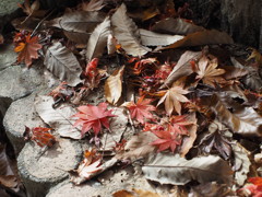 Art of leaves