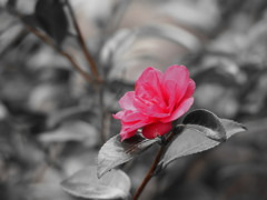 たたずむ