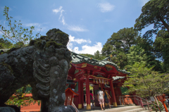 狛犬からの〜箱根神社