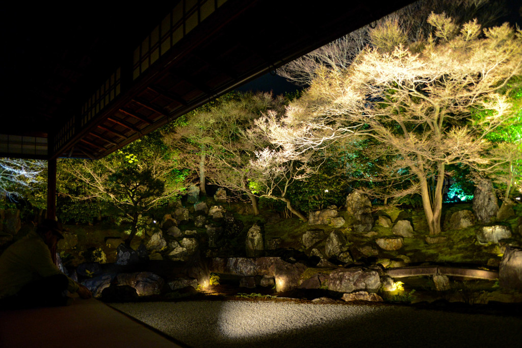 京都　圓徳院