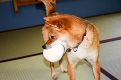 口、でかっ