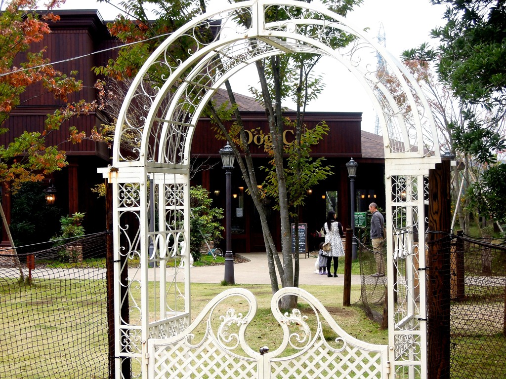 ペニーレインつくば店