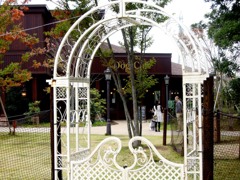 ペニーレインつくば店