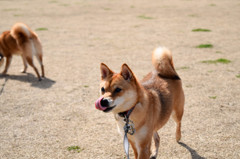 おやつですか(^^)