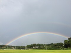 虹の架け橋