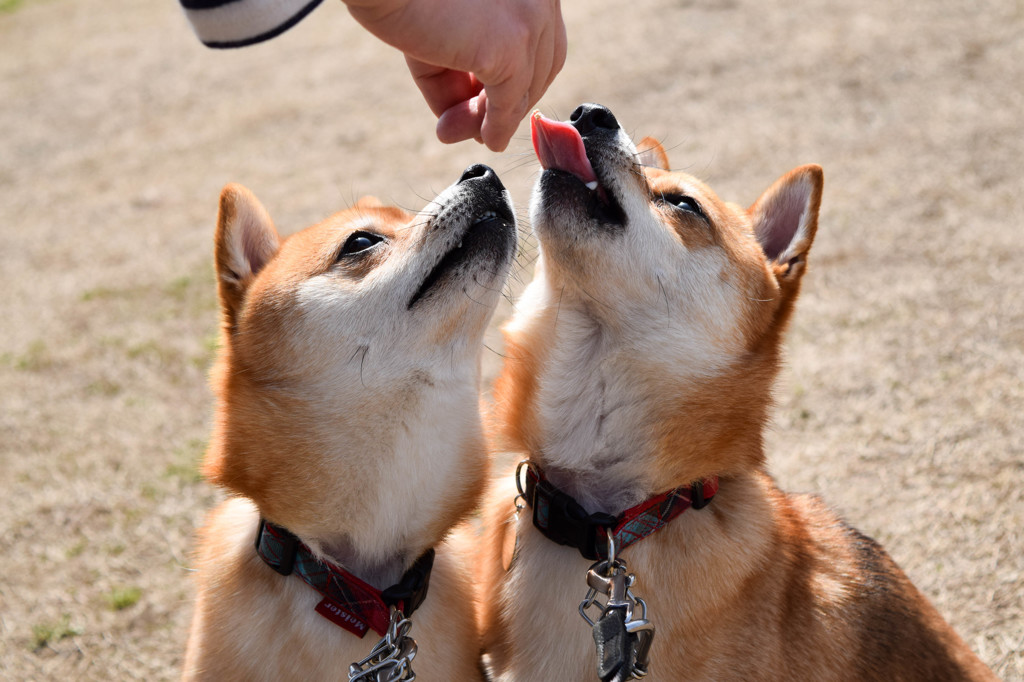 あたしもー！！