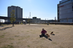 穏やかな休日２