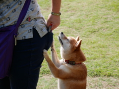 ねぇ、オヤツ頂戴