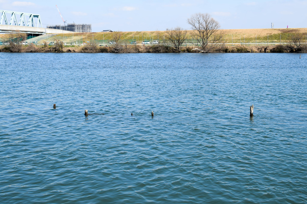 海まで２５ｋｍ