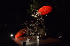 東山花灯路２０１５