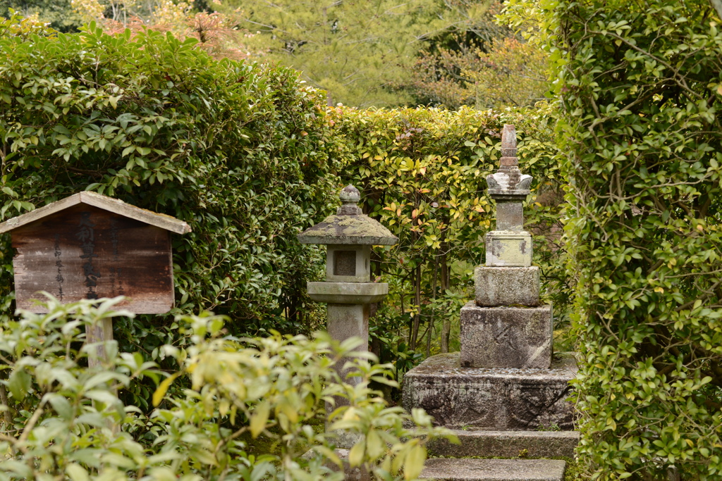 京都　等持院