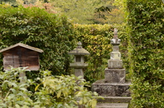 京都　等持院