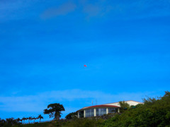 南の島の冬空