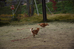 速い！速い！